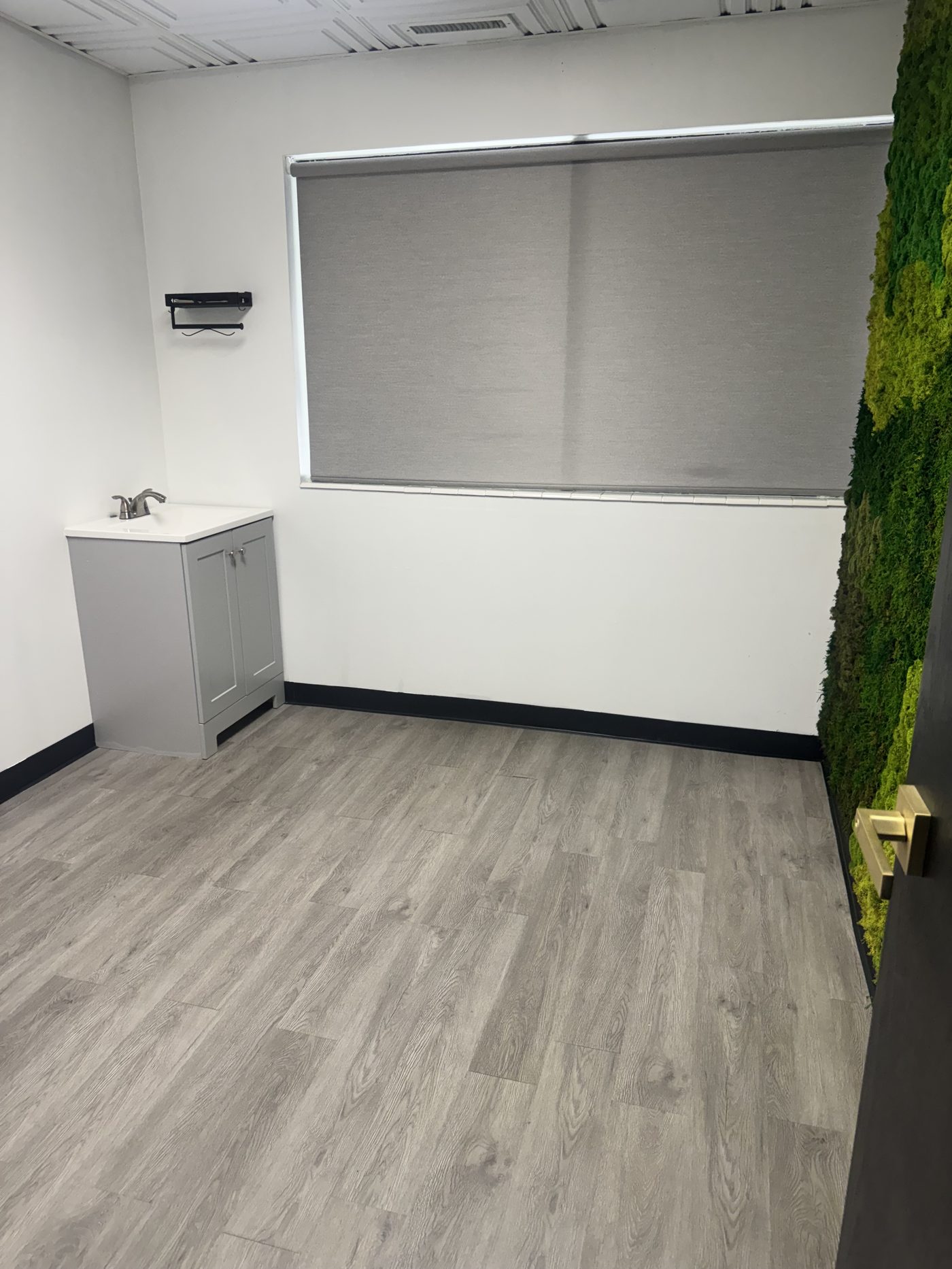Salon suite with moss accent wall at Elevae Suites